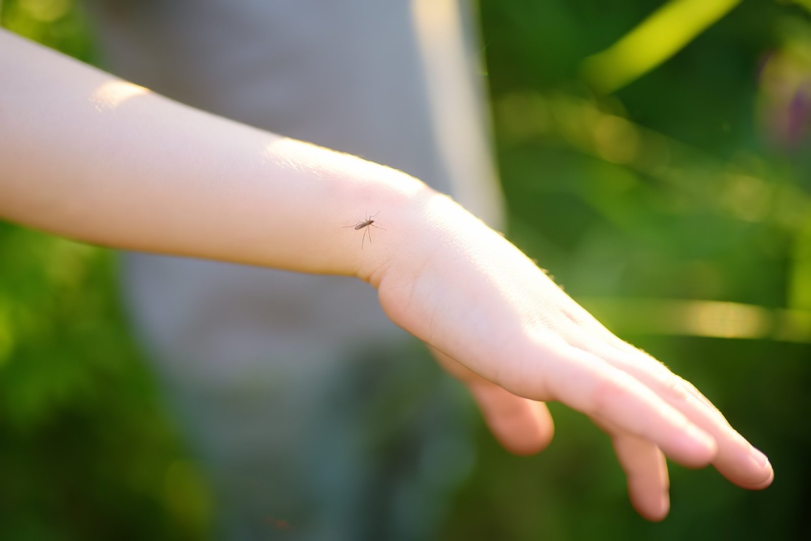 Mosquito posado sobre un brazo con fondo de vegetación tropical verde